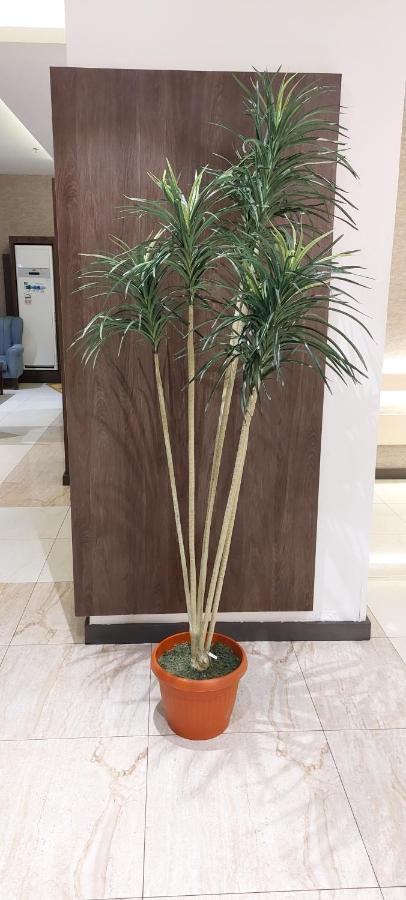 همم للوحدات السكنية - الرحيلي Jeddah Al Kura Exterior photo